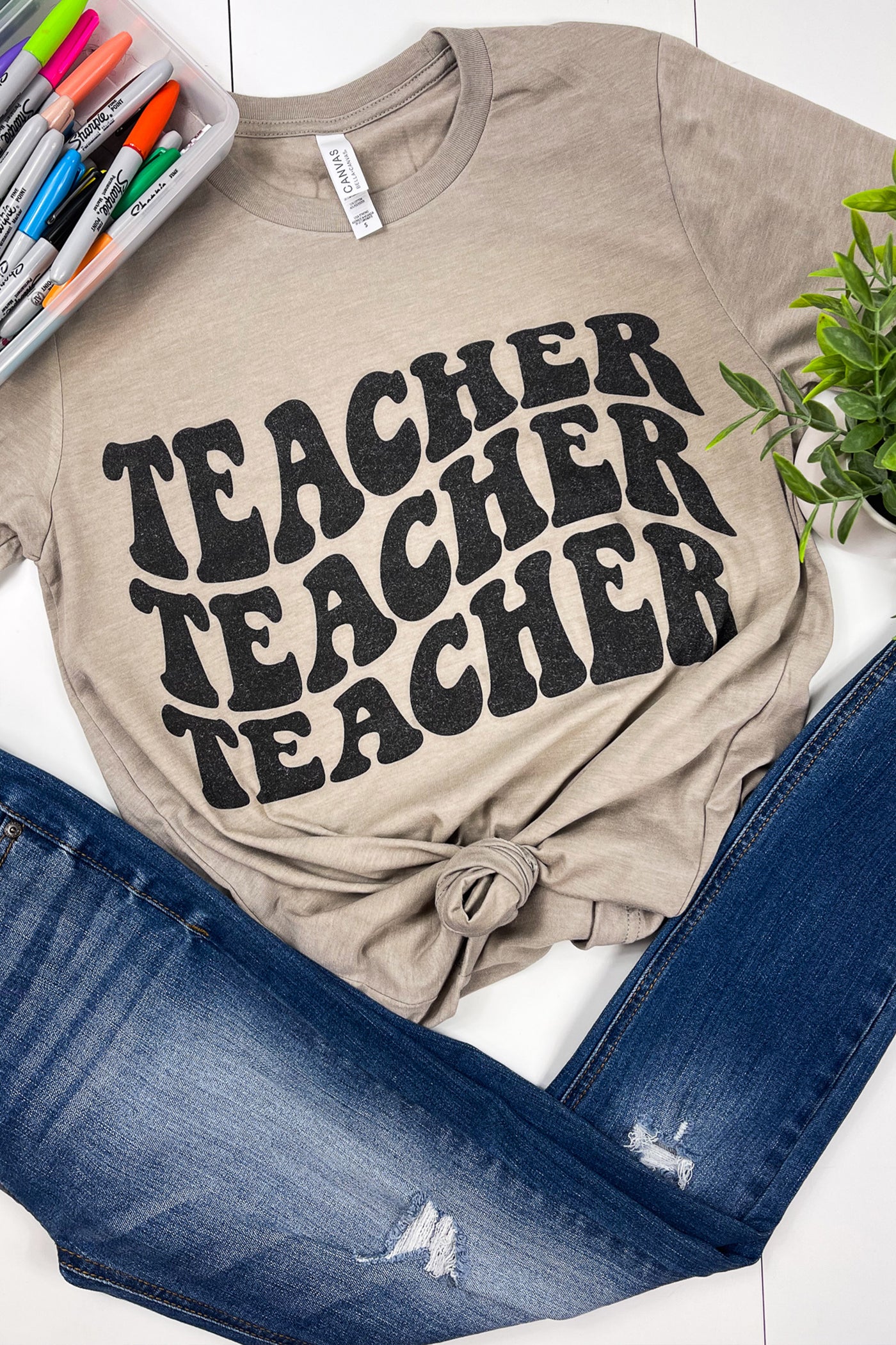 TEACHER TEACHER